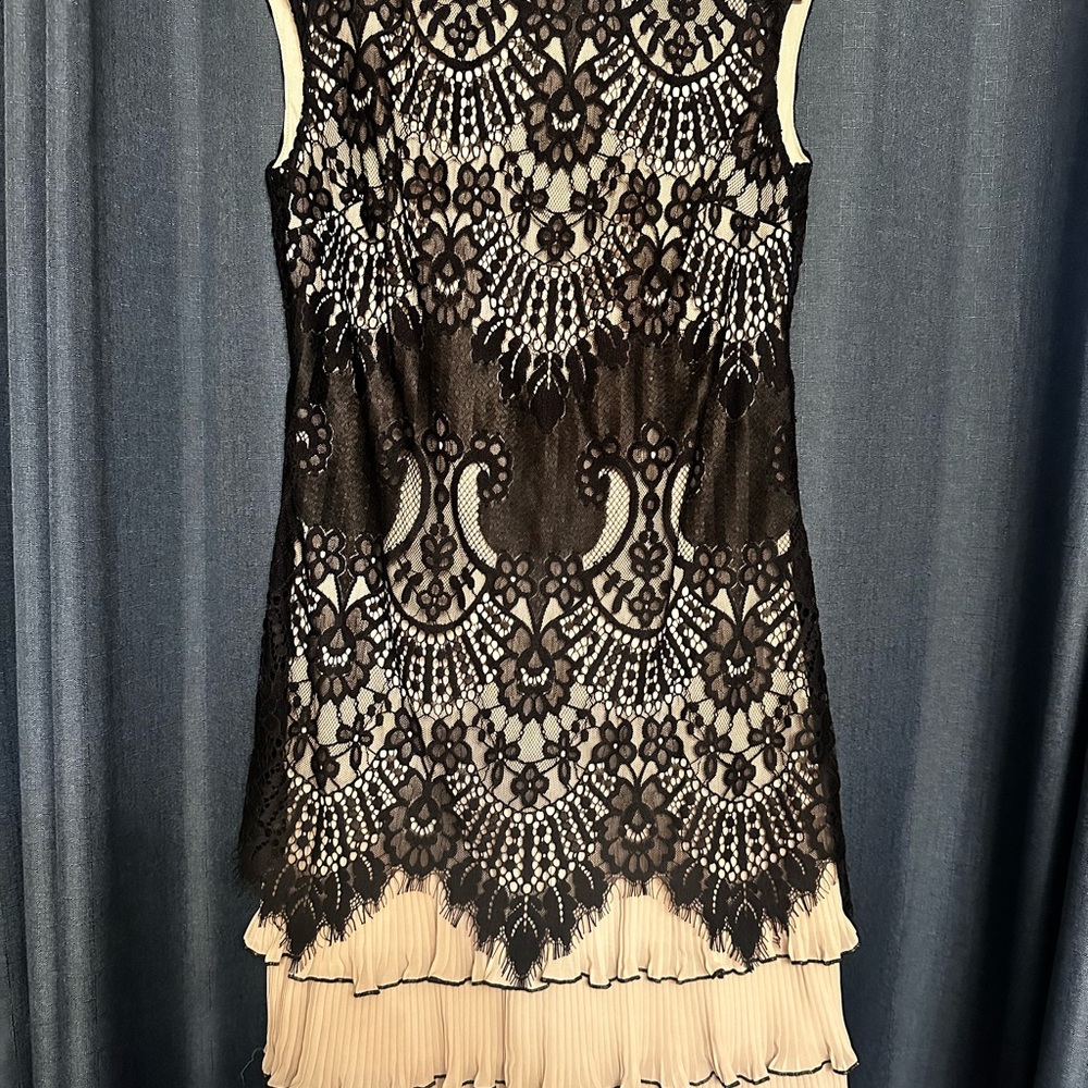 Frank Lyman Design Black and Cream Lace Mini Dress